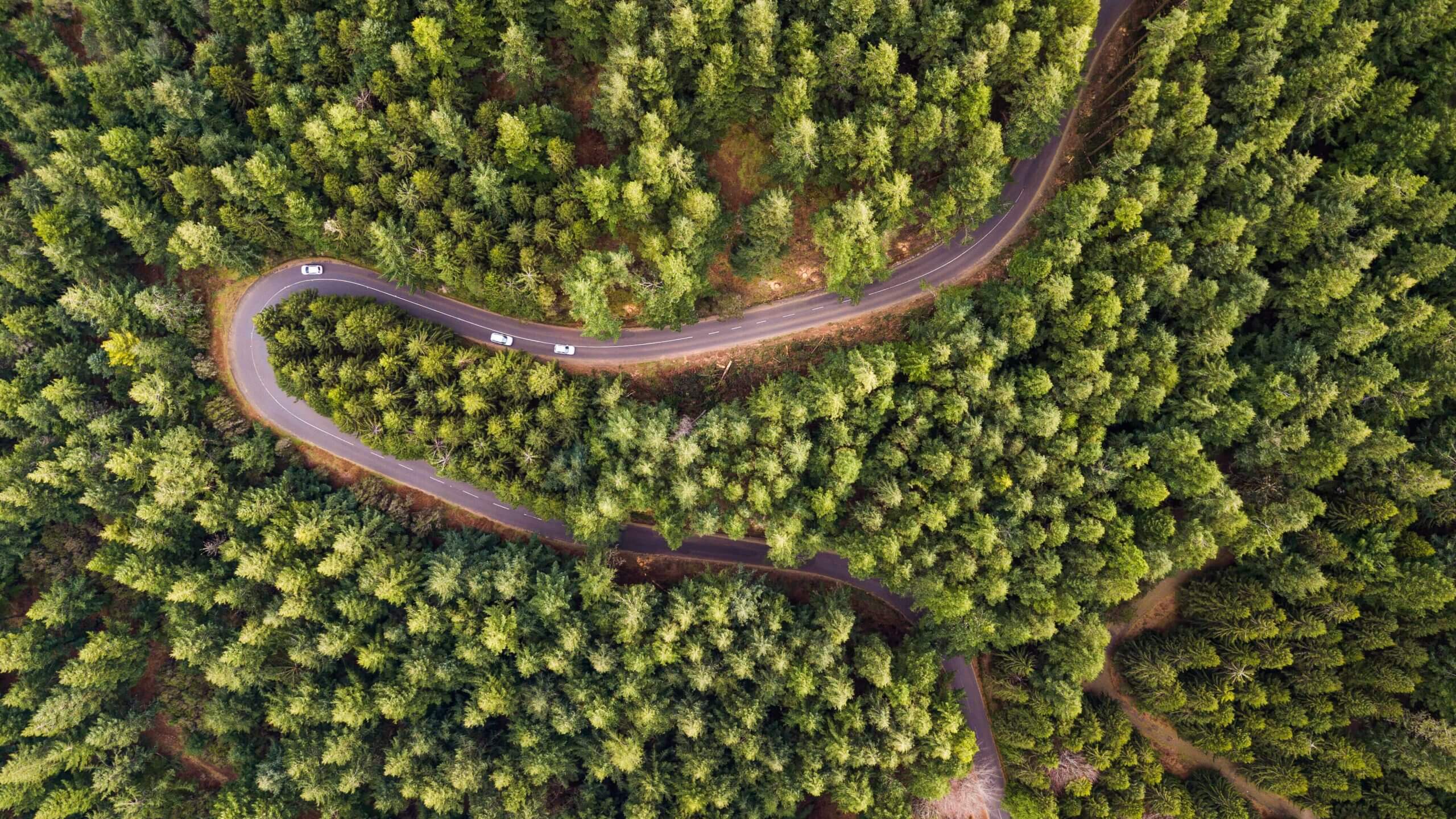 92726b171c201de3c248bc58a3c75a0e-scaled