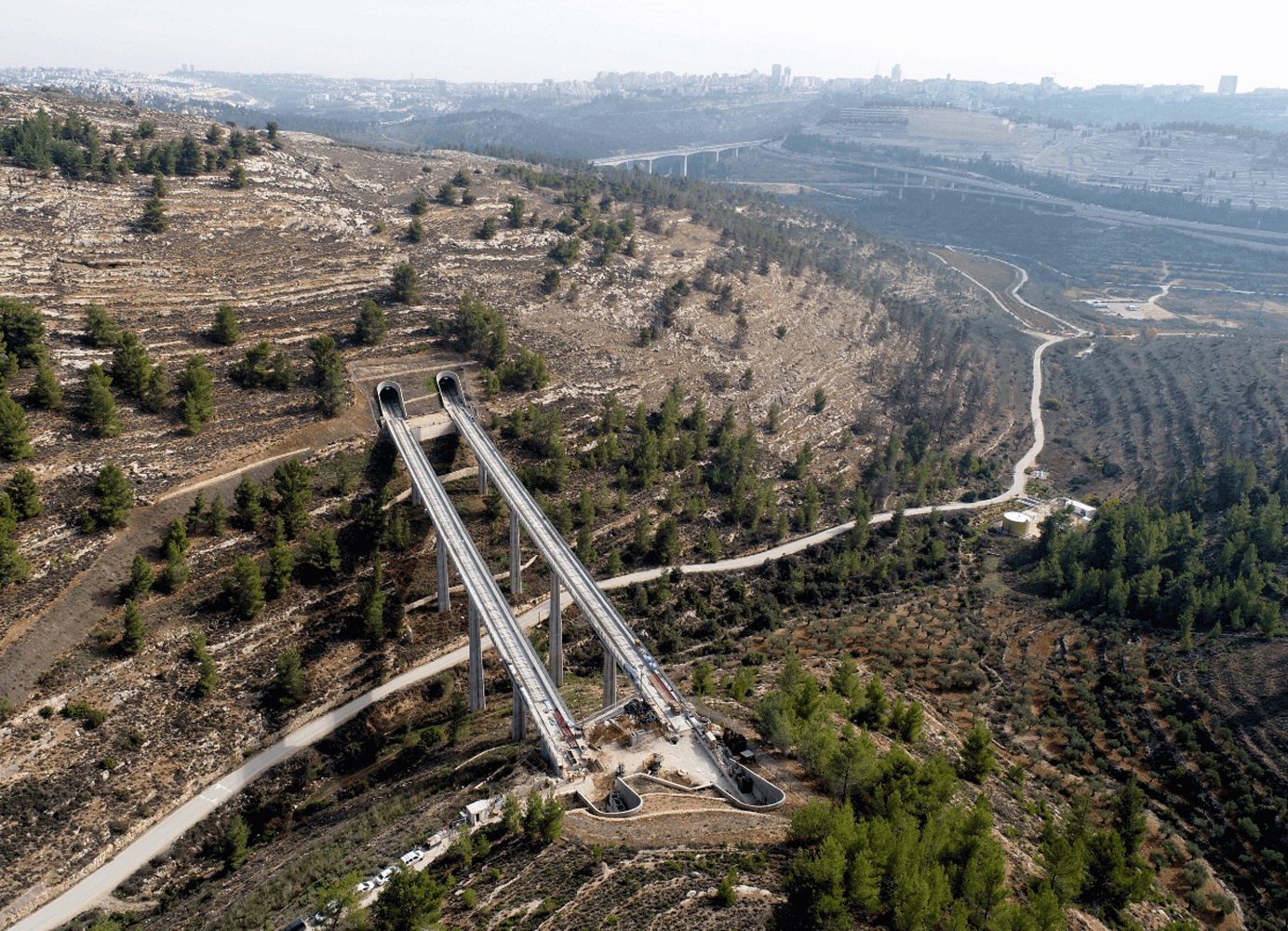 תמונה12